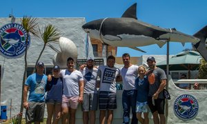 Shark players visit Sharks
